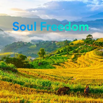 Soul Freedom by 