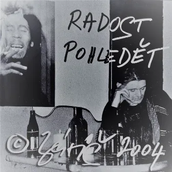 Radost pohledět by Záviš