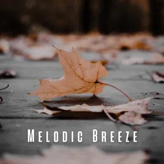 Melodic Breeze: Leaves Rustling in the Wind by Relaxation Noisy Tones