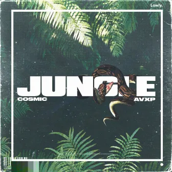 Jungle by Avxp