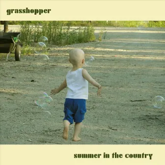 Summer in the Country by Grasshopper