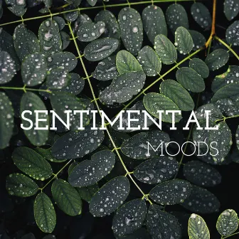 Sentimental Moods - Calm Background Music for Relaxation, Good Time to Relax by Calm Nerves