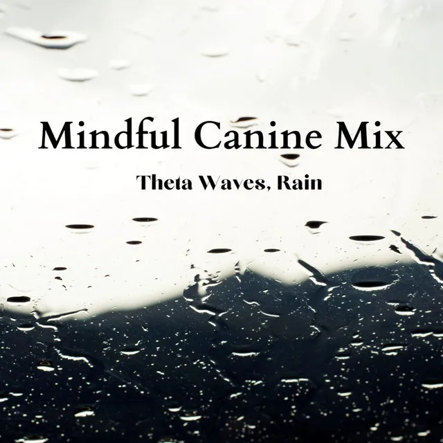 Mindful Canine Focus Theta Waves Rain