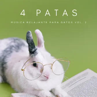 4 Patas: Música Relajante Para Gatos Vol. 2 by Perros que se Quedan en Casa