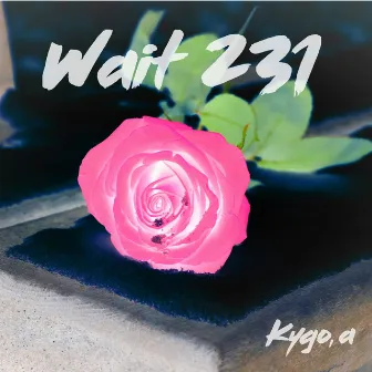 Wait 231 by Kygo, a