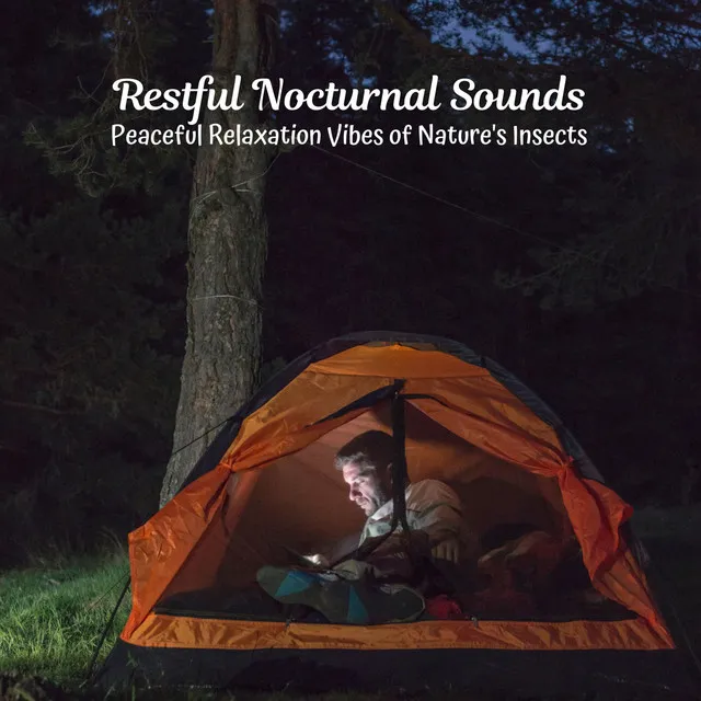 Restful Nocturnal Sounds: Peaceful Relaxation Vibes of Nature's Insects