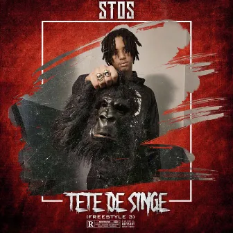 Tête de singe (Freestyle3) by Stos