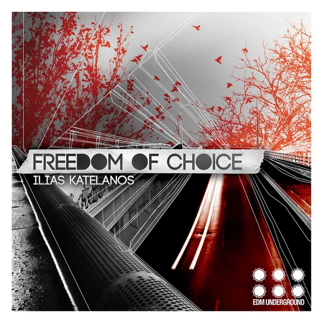 Freedom of Choice - Original Mix