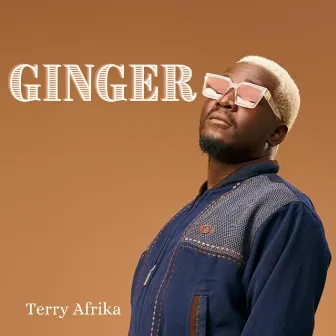 Ginger by Terry Afrika