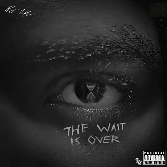 The Wait Is Over by PJ1K