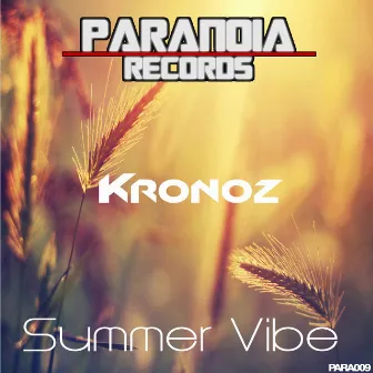 Summer Vibe by Kronoz