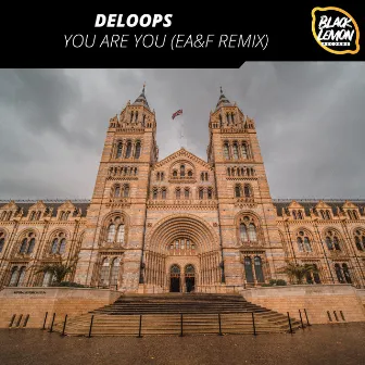 You Are You (EA&F Remix) by Deloops