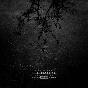 Spirits by Wess Nyle