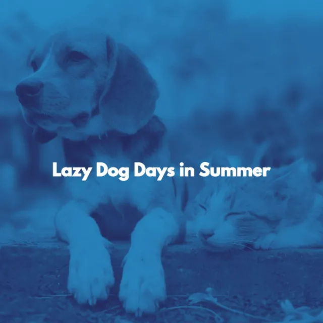 Lazy Dog Days in Summer