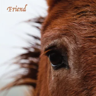 Friend by Sweet Dreams