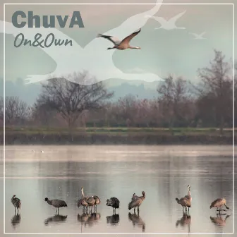 On and Own by Chuva