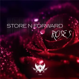 Roses (Original Mix) by Store N Forward