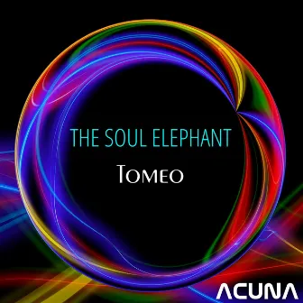 Tomeo by The Soul Elephant