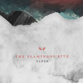 Older (feat. Nina de Juan) by The Flamingos Bite