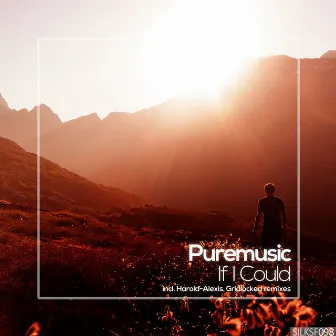 If I Could by Puremusic