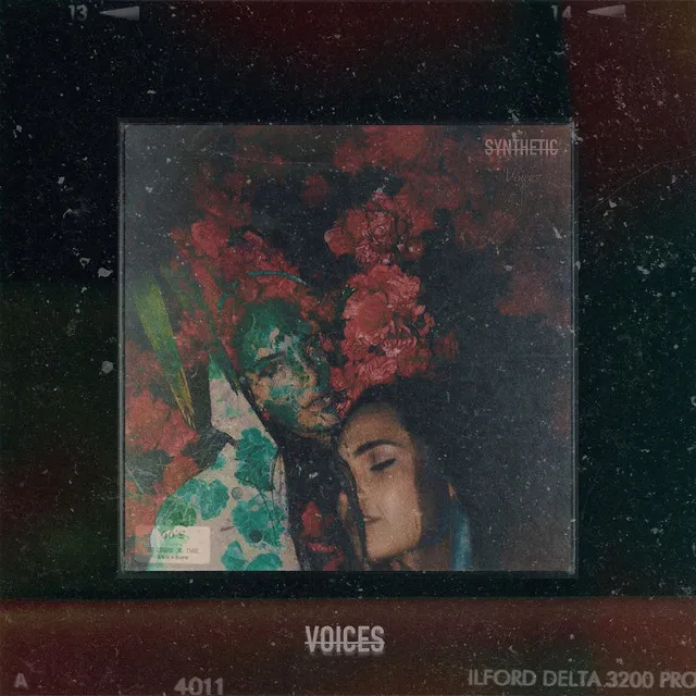 Voices