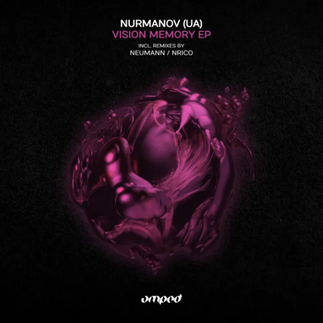 Vision Memory - Neumann Remix