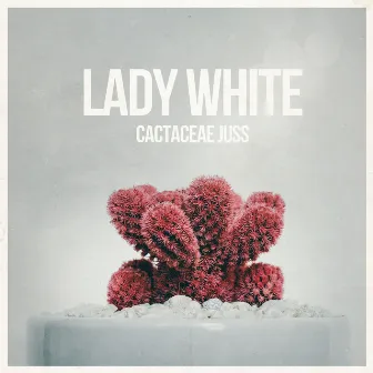 Cactaceae Juss by Lady White