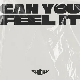 Can You Feel It by Chooky