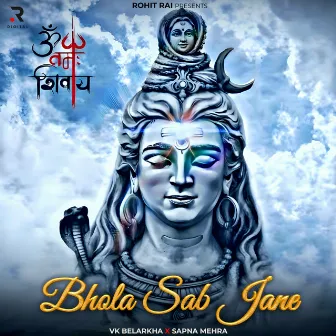 Bhola Sab Jane by Sapna Mehra