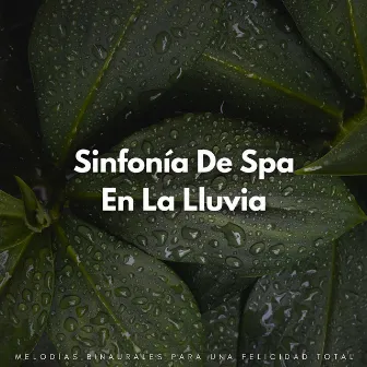 Sinfonía De Spa En La Lluvia: Melodías Binaurales Para Una Felicidad Total by Canal de spa