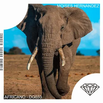 Africano by Moises Hernandez