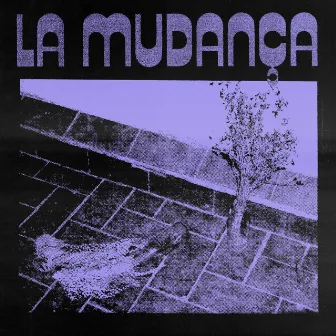 La Mudança by BERNN