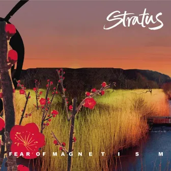 Fear of Magnetism by Stratus