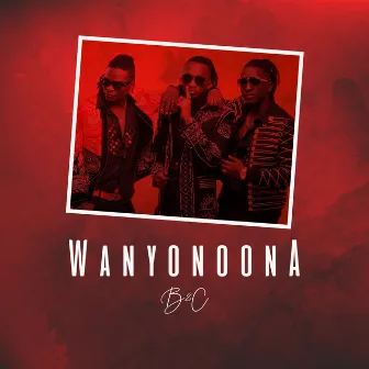 Wanyonoona by B2c