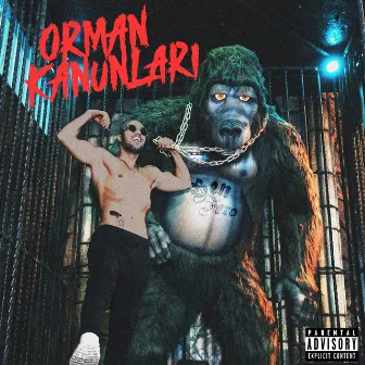 ORMAN KANUNLARI by Ben Fero