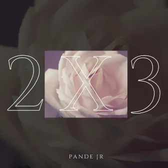 2x3 by Pande Jr