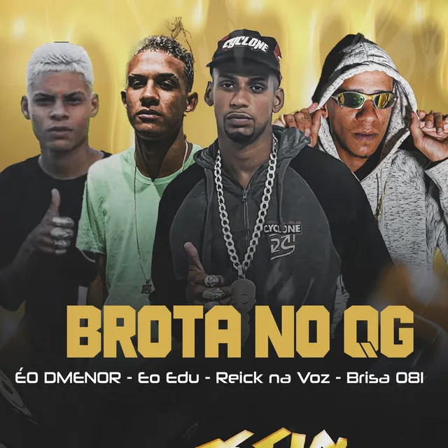 Brota no Qg