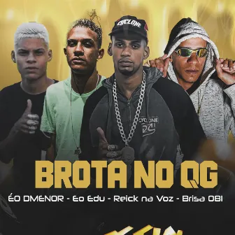 Brota no Qg by Eo Edu