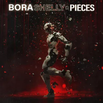 Pieces by Bora Shelly