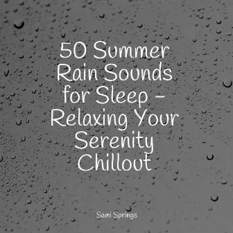 50 Summer Rain Sounds for Sleep - Relaxing Your Serenity Chillout by Unknown Artist