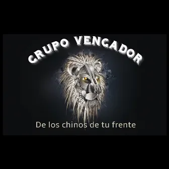 Volvernos a Ver (Remasterizada) by Grupo MS Vengador