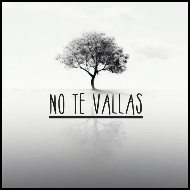 No Te Vallas