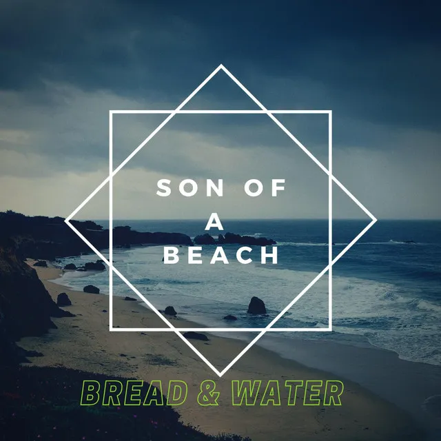 Son Of A Beach