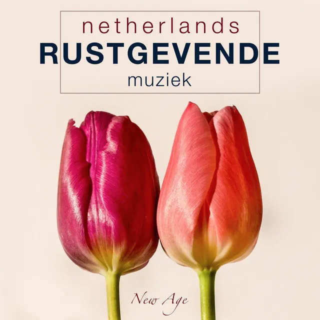 New Age Netherlands - Rustgevende Muziek en Meditatie Muziek