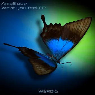 What You Feel by Amplitude