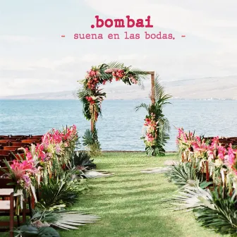 Suena en las Bodas by Bombai