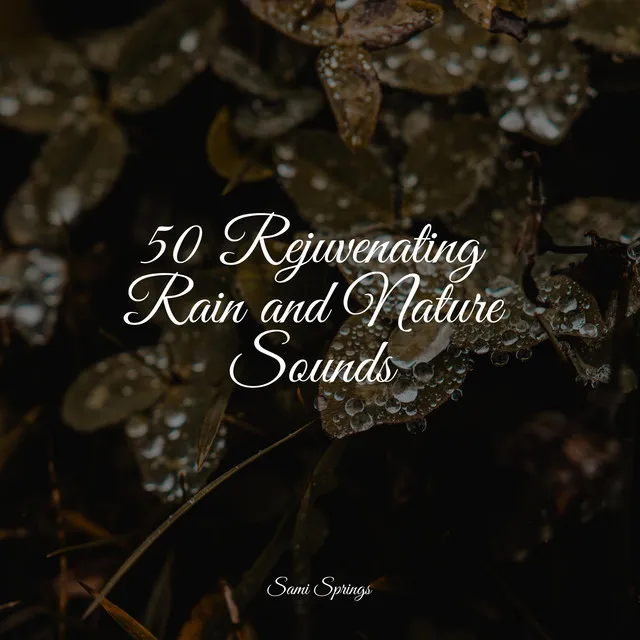 50 Rejuvenating Rain and Nature Sounds