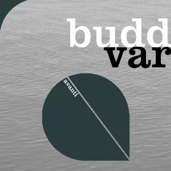 VAR by BUDD