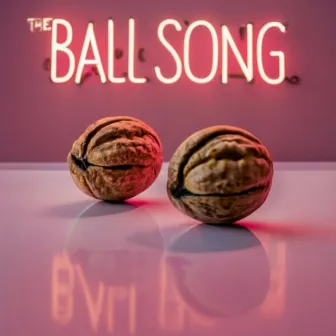 The Ball Song by Barry Beige