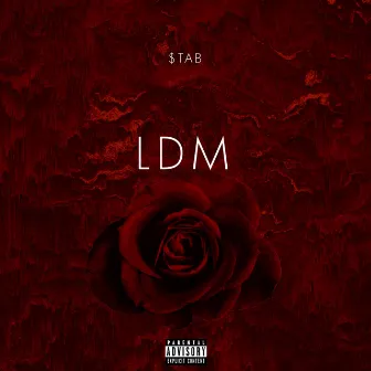 LDM by STAB